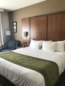 Comfort Inn Ellsworth - Bar Harbor