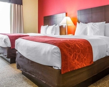 Comfort Suites Rock Hill Manchester Meadows Area