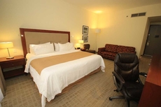 Holiday Inn Leon by IHG