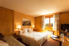 Best Western Hotel & SPA Le Schoenenbourg