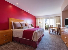 Camino Real Saltillo