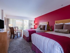 Camino Real Saltillo