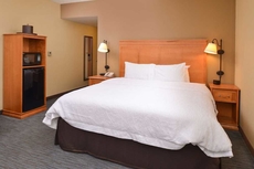 Hampton Inn & Suites Tampa East (Casino Area)