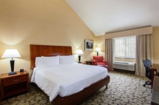 Hilton Garden Inn Valencia Six Flags