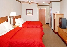 Comfort Inn & Suites, Ocean Shores