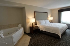 Holiday Inn Hotel & Suites Minneapolis - Lakeville, an IHG Hotel