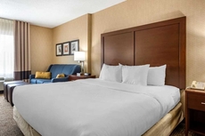 Comfort Inn Meadowlands