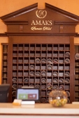 Amaks Premier Hotel