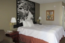 Econo Lodge Inn & Suites