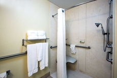 Holiday Inn Express & Suites Vandalia, an IHG Hotel