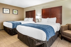 Comfort Inn & Suites Columbus East