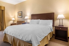 Comfort Inn & Suites Dahlonega University Area