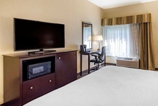 Comfort Inn & Suites Dahlonega University Area