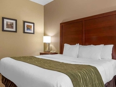 Comfort Inn Duncansville - Altoona