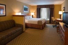 Holiday Inn Express & Suites Chicago West-Roselle, an IHG Hotel