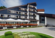 Hotel Breza