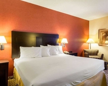 Quality Inn & Suites, Oakwood Village