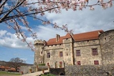 Chateau Royal de Saint-Saturnin