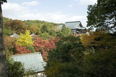 Shigisan Kanko Hotel