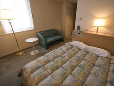 Tsubame-sanjo Washington Hotel