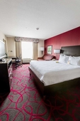 Hilton Garden Inn Columbus/Dublin