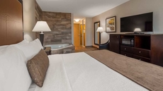 BEST WESTERN Plus Vineyard Inn