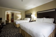 Holiday Inn Express Hotel & Suites Camden-I20 (Hwy 521), an IHG Hotel