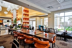 Hilton Garden Inn Tampa Northwest/Oldsmar