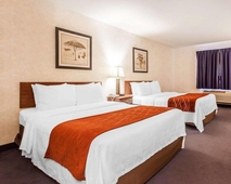 Comfort Inn Conference Center Tumwater - Olympia