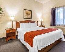 Comfort Inn Conference Center Tumwater - Olympia