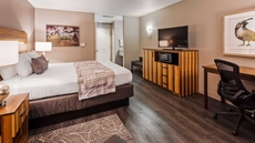 BEST WESTERN Cedar Inn & Suites