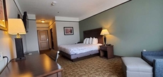 BEST WESTERN Plus Emory at Lake Fork Inn & Suites