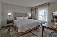 Hampton Inn & Suites Artesia