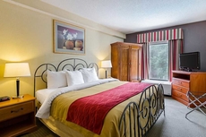 Quality Suites Altavista - Lynchburg South