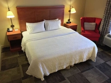 Hampton Inn Garden City