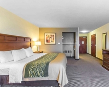 Comfort Inn And Suites