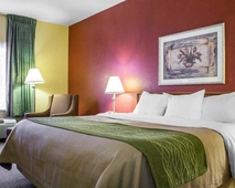 Comfort Inn Green Valley I19