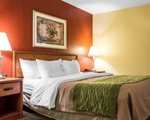 Comfort Inn Green Valley I19