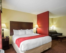 Comfort Suites Mt. Juliet  Nashville Area