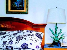 Dreydon House B&B