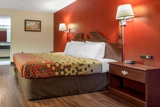 Econo Lodge Cortland