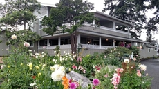 Friday Harbor Grand B&B