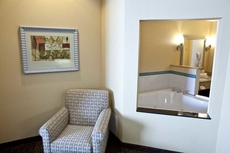 Holiday Inn Express Hotel & Suites Lansing-Dimondale, an IHG Hotel