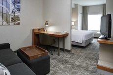 SpringHill Suites by Marriott Frankenmuth