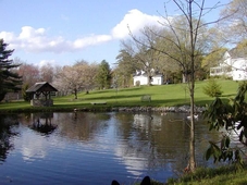 The Inn on the Horse Farm