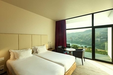 Douro Palace Hotel Resort and Spa