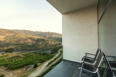 Douro Palace Hotel Resort and Spa