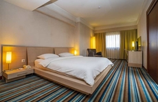 Hotel Anemon Eskisehir