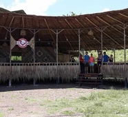 9 Huts on a Hill