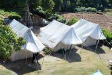 Backpacker Panda - Chand Palace